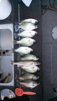 Crappie Clear Lake.jpg