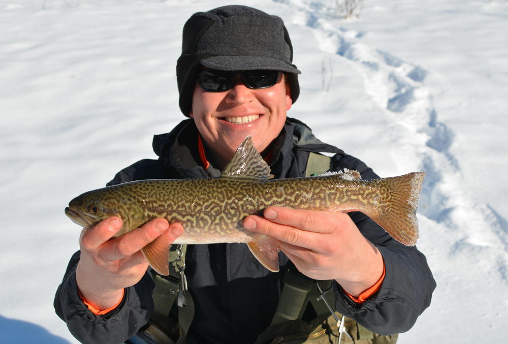 Wisconsin Fly Fishing Forums - Streamers