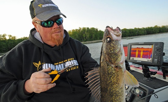 lindy rig walleyes for late fall