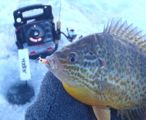 ice fishing no weeds