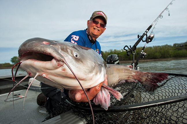 Vertical Jigging For Daytime Flathead Catfish 