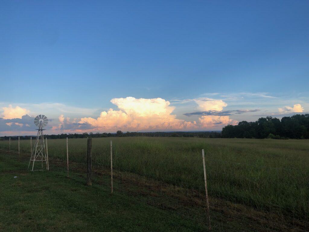 There's no place like "HOME"! Rural American homesteads where our nature connection to the experts truly begins.